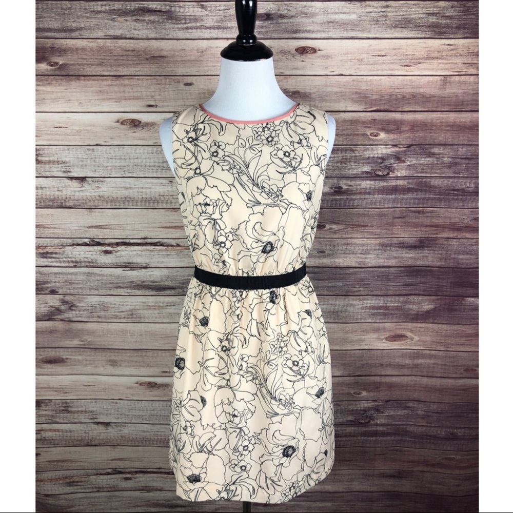 LOFT Cream Floral Print Mini Dress with Black Waist